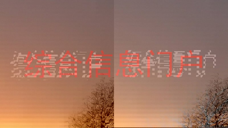 综合信息门户