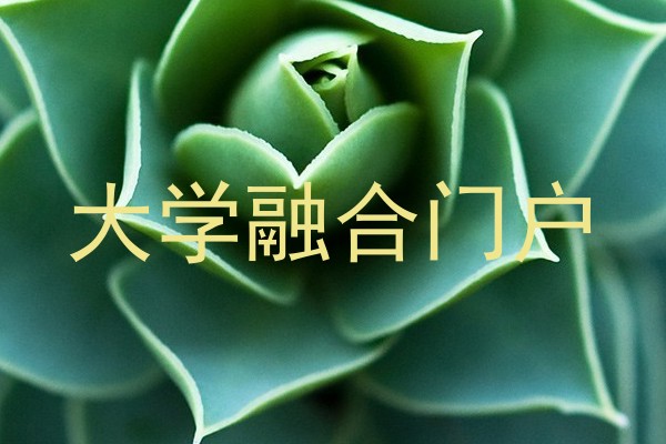 大学融合门户