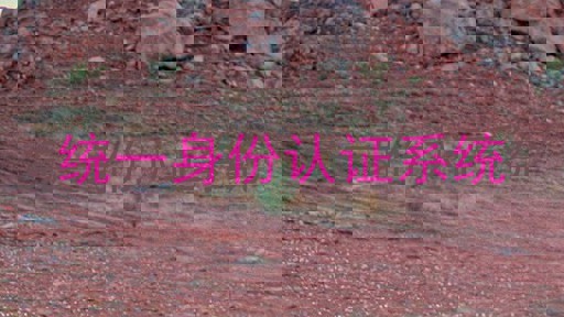 统一身份认证系统