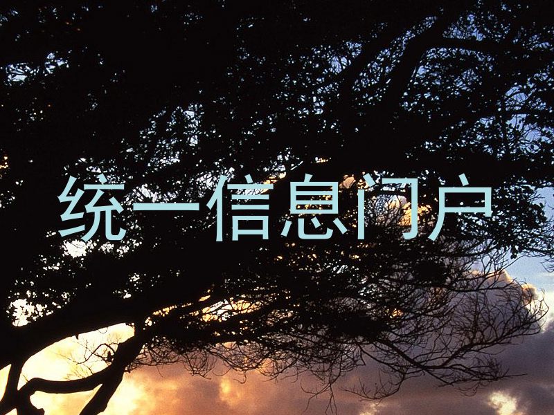 统一信息门户