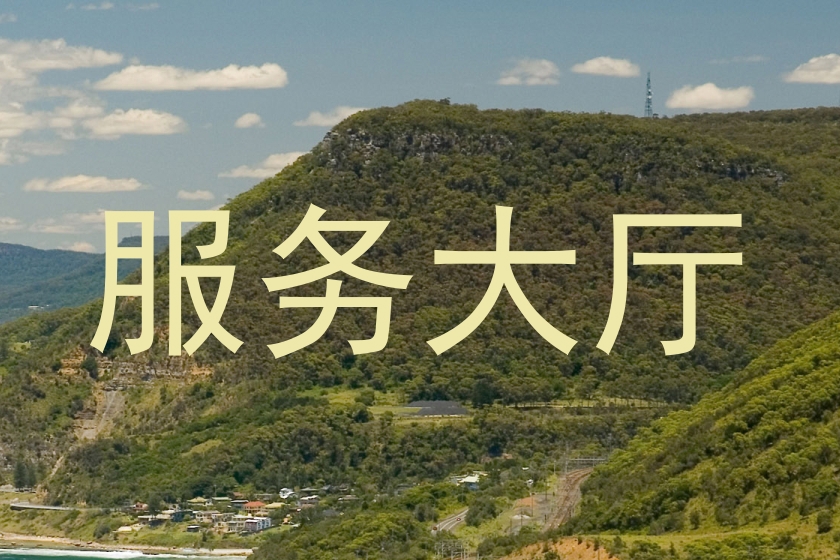 服务大厅