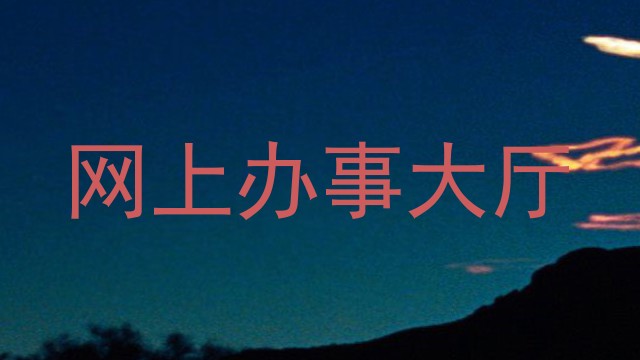 网上办事大厅