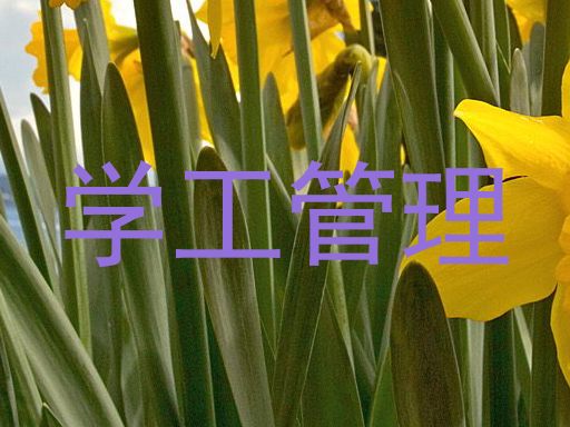 学工管理