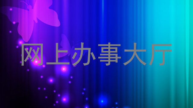 网上办事大厅
