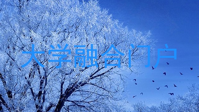 大学融合门户