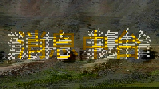 消息中台