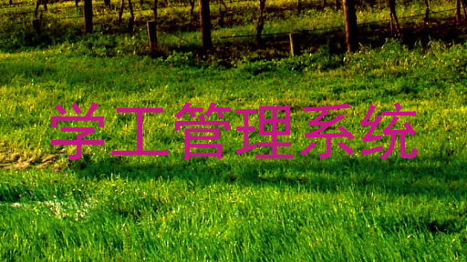学工管理系统