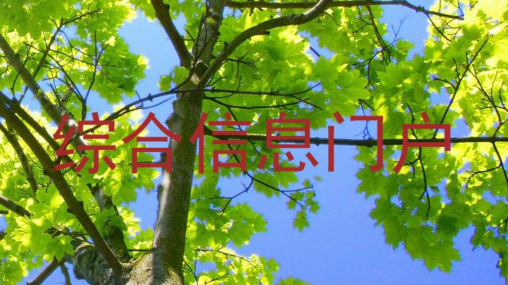 综合信息门户