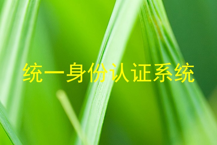 统一身份认证系统