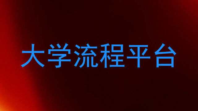 大学流程平台