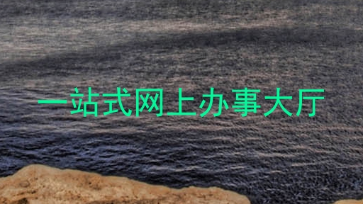 一站式网上办事大厅