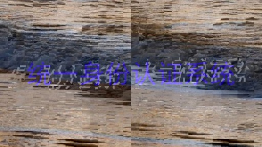 统一身份认证系统