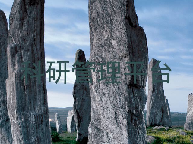 科研管理平台