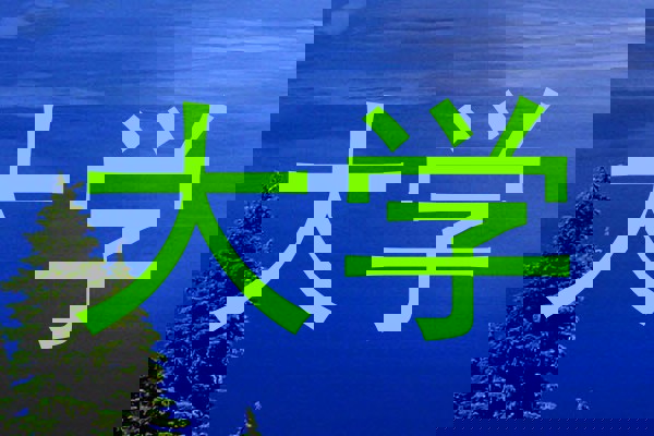大学