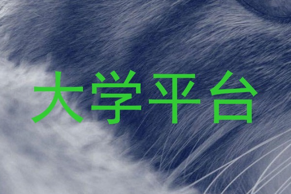 大学平台