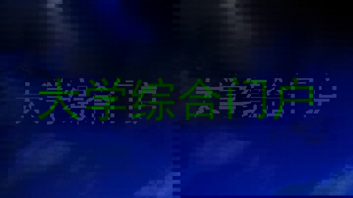大学综合门户