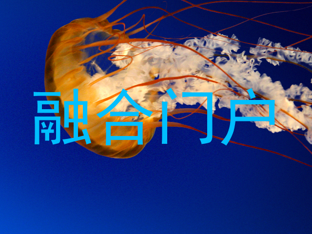 融合门户