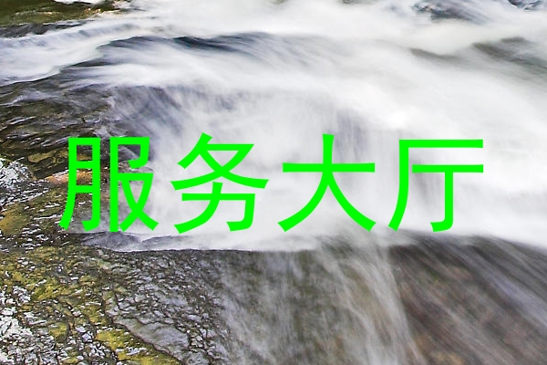 服务大厅