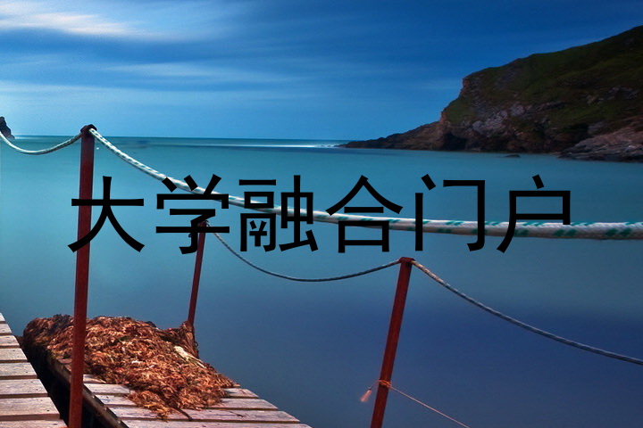 大学融合门户