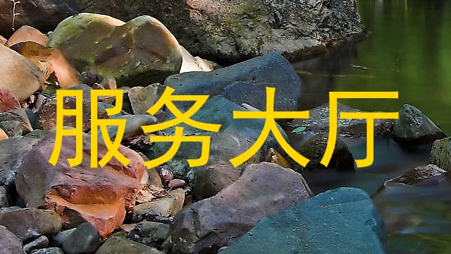 服务大厅