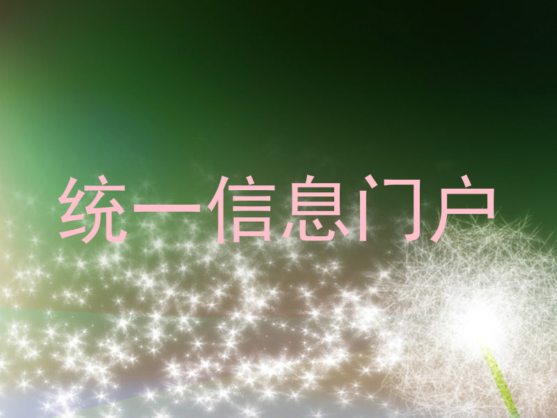 统一信息门户