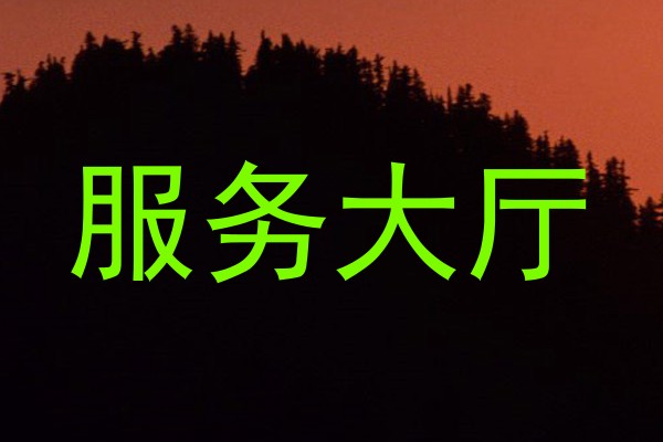 服务大厅