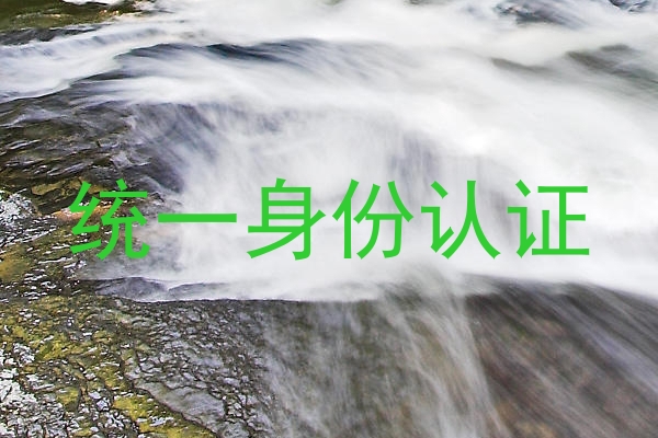 统一身份认证