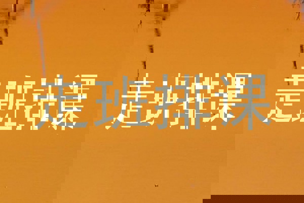 走班排课