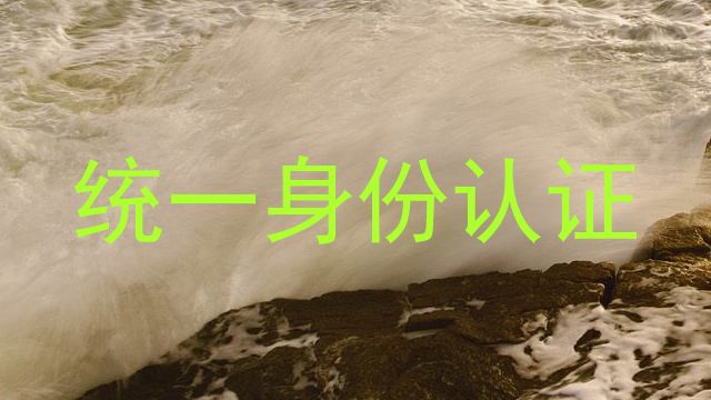 统一身份认证