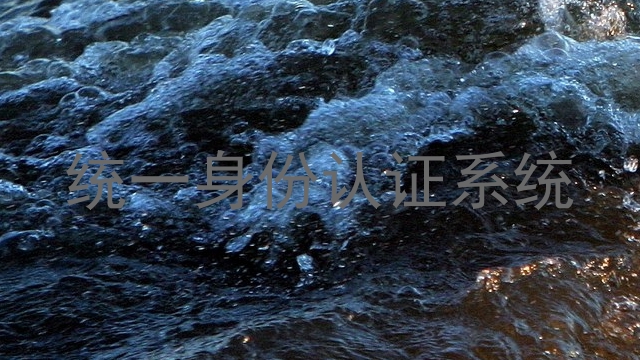 统一身份认证系统