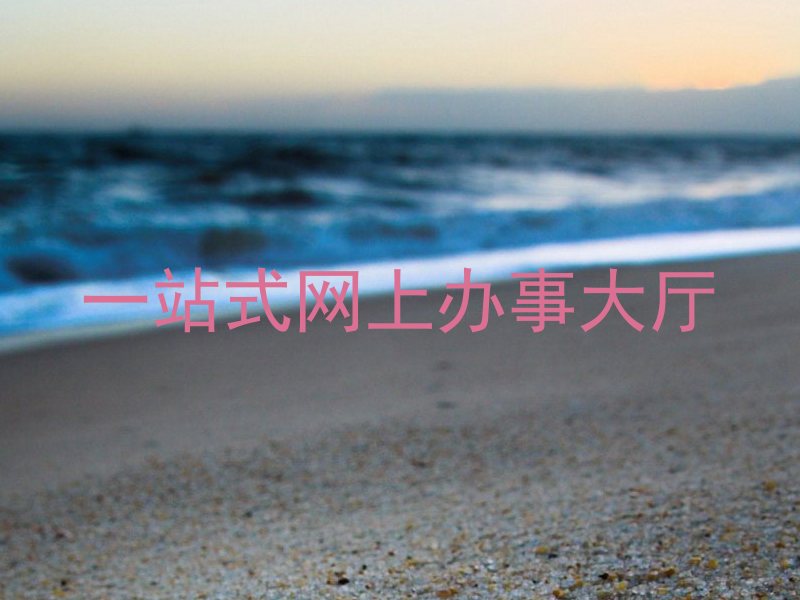 一站式网上办事大厅