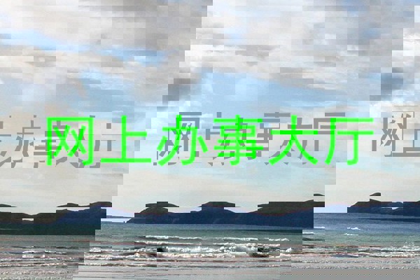 网上办事大厅