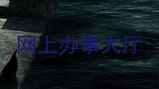 网上办事大厅