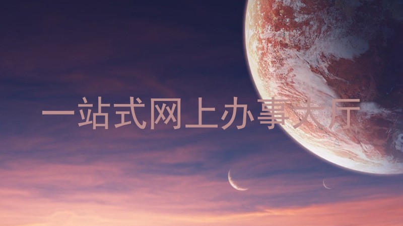 一站式网上办事大厅