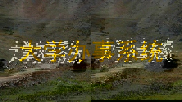 大学办事系统
