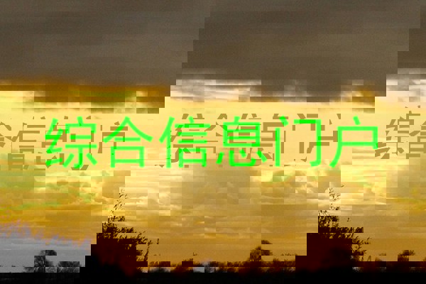 综合信息门户