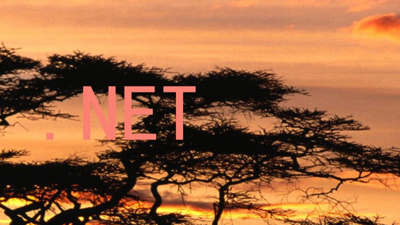 .NET