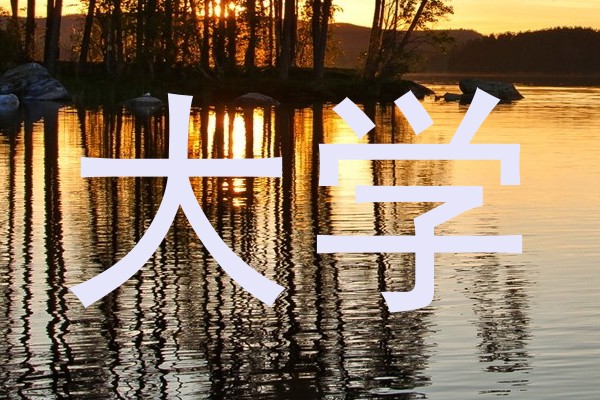 大学