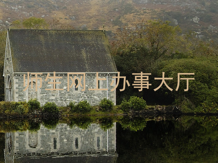 师生网上办事大厅
