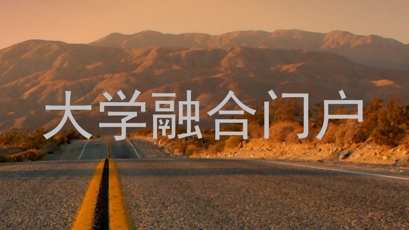 大学融合门户