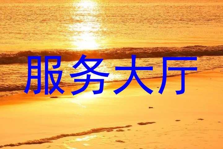 服务大厅