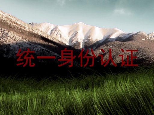 统一身份认证