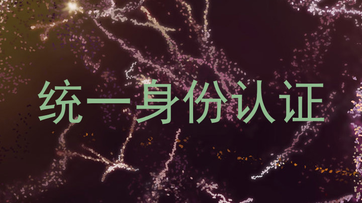 统一身份认证
