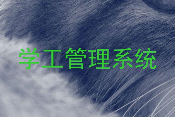 学工管理系统