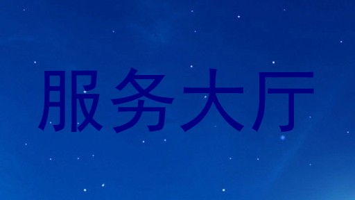 服务大厅