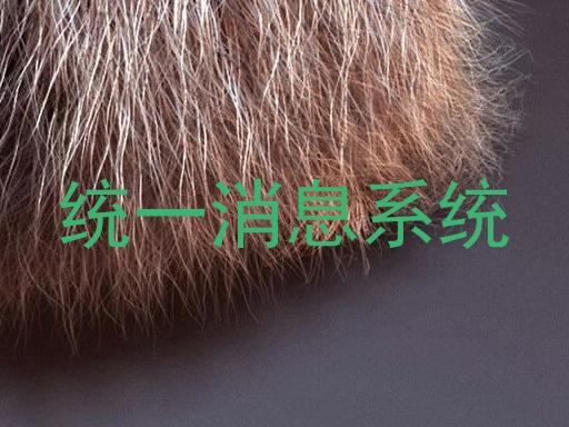 统一消息系统