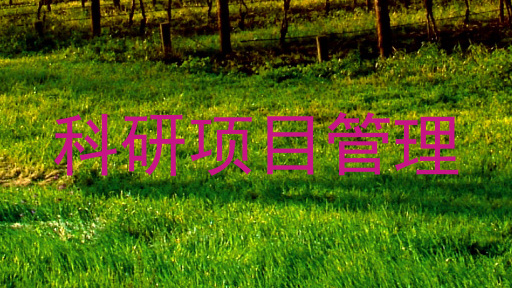 科研项目管理