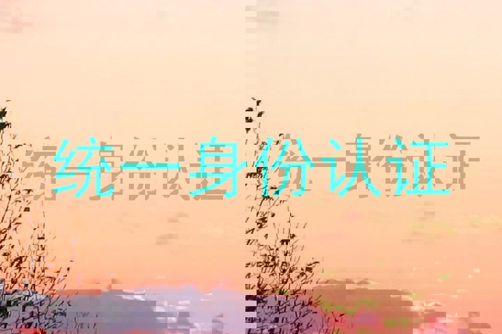 统一身份认证