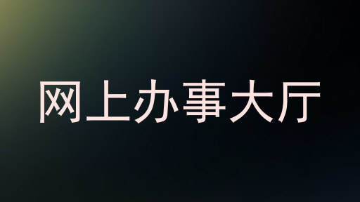 网上办事大厅