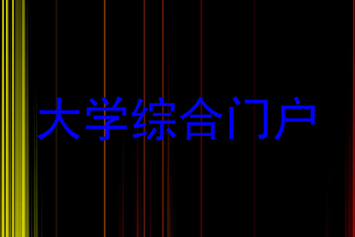大学综合门户